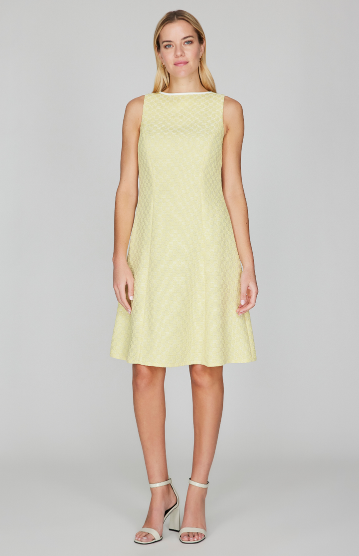 Textured Floral Jacquard Sleeveless Fit & Flare Dress